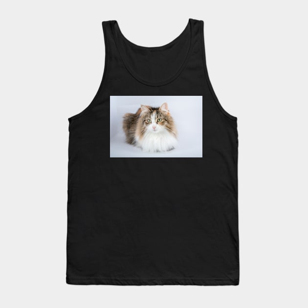 Long Hair tortoiseshell cat Tank Top by Russell102